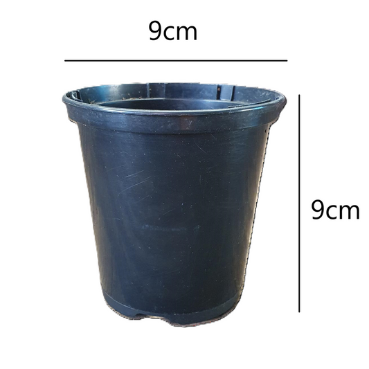 pot with measurements for refence 